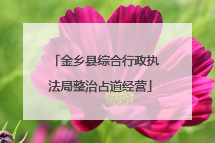 金乡县综合行政执法局整治占道经营