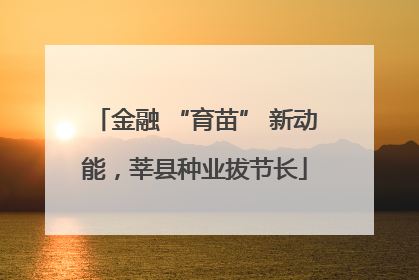 金融 “育苗” 新动能，莘县种业拔节长