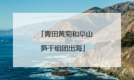 青田黄菊和阜山笋干组团出海