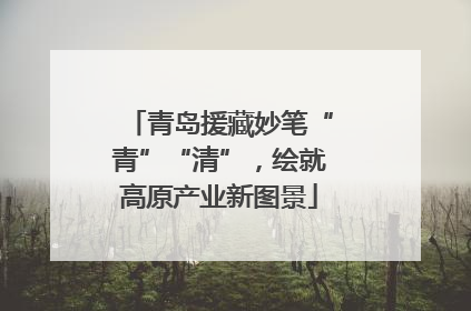 青岛援藏妙笔“青”“清”，绘就高原产业新图景