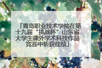 青岛职业技术学院在第十九届“挑战杯”山东省大学生课外学术科技作品竞赛中斩获佳绩