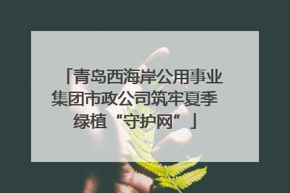 青岛西海岸公用事业集团市政公司筑牢夏季绿植“守护网”