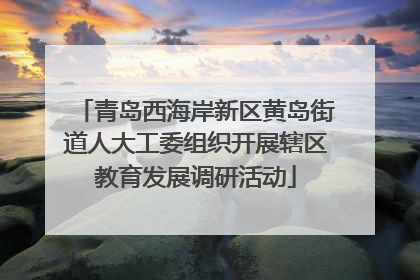 青岛西海岸新区黄岛街道人大工委组织开展辖区教育发展调研活动
