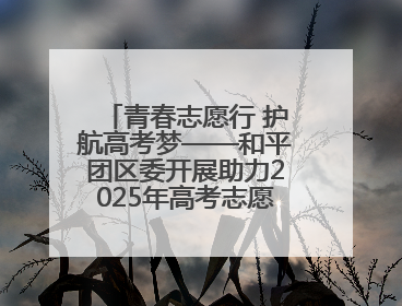 青春志愿行 护航高考梦——和平团区委开展助力2025年高考志愿服务活动