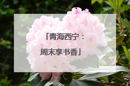青海西宁：周末享书香