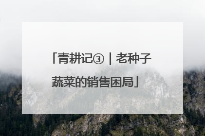 青耕记③｜老种子蔬菜的销售困局