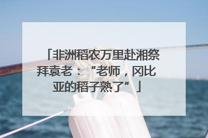 非洲稻农万里赴湘祭拜袁老：“老师，冈比亚的稻子熟了”
