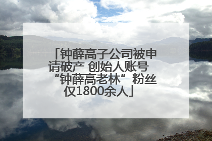钟薛高子公司被申请破产 创始人账号“钟薛高老林”粉丝仅1800余人