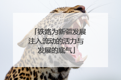 铁路为新疆发展注入流动的活力与发展的底气