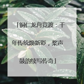 铜仁龙舟竞渡：千年传统焕新彩，桨声鼓韵续写传奇