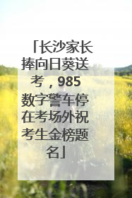 长沙家长捧向日葵送考，985数字警车停在考场外祝考生金榜题名