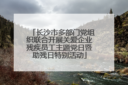 长沙市多部门党组织联合开展关爱企业残疾员工主题党日暨助残日特别活动