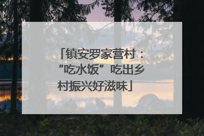 镇安罗家营村：“吃水饭”吃出乡村振兴好滋味