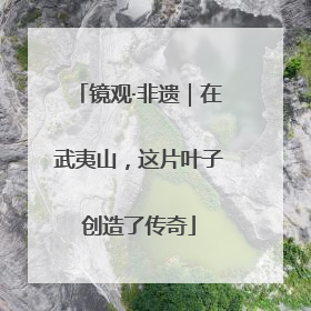 镜观·非遗｜在武夷山，这片叶子创造了传奇
