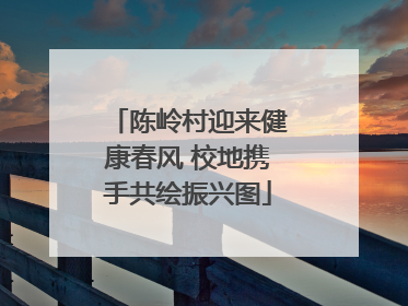 陈岭村迎来健康春风 校地携手共绘振兴图