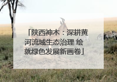 陕西神木：深耕黄河流域生态治理 绘就绿色发展新画卷
