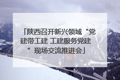 陕西召开新兴领域“党建带工建 工建服务党建”现场交流推进会