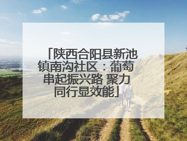 陕西合阳县新池镇南沟社区：葡萄串起振兴路 聚力同行显效能