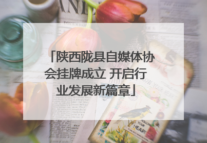 陕西陇县自媒体协会挂牌成立 开启行业发展新篇章