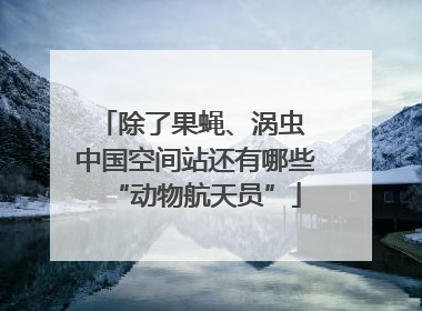 除了果蝇、涡虫 中国空间站还有哪些“动物航天员”