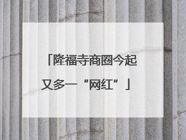 隆福寺商圈今起又多一“网红”