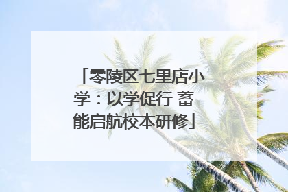 零陵区七里店小学：以学促行 蓄能启航校本研修