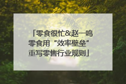 零食很忙&赵一鸣零食用“效率壁垒”重写零售行业规则