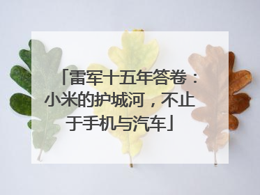 雷军十五年答卷：小米的护城河，不止于手机与汽车