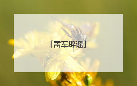 雷军辟谣