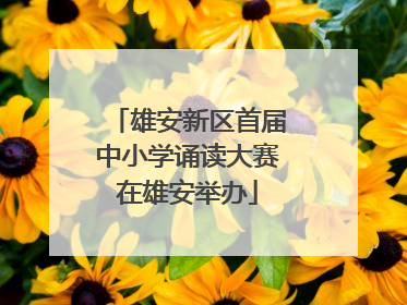 雄安新区首届中小学诵读大赛在雄安举办