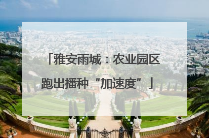 雅安雨城：农业园区跑出播种“加速度”