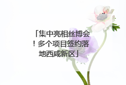 集中亮相丝博会！多个项目签约落地西咸新区