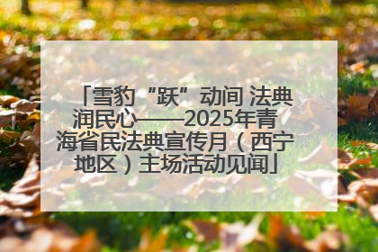雪豹“跃”动间 法典润民心——2025年青海省民法典宣传月（西宁地区）主场活动见闻