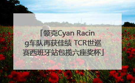 领克Cyan Racing车队再获佳绩 TCR世巡赛西班牙站包揽六座奖杯