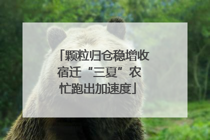 颗粒归仓稳增收 宿迁“三夏”农忙跑出加速度