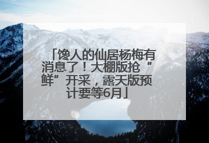 馋人的仙居杨梅有消息了！大棚版抢“鲜”开采，露天版预计要等6月