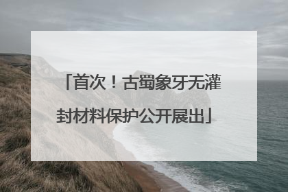 首次！古蜀象牙无灌封材料保护公开展出