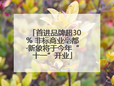首进品牌超30% 非标商业亳都·新象将于今年“十一”开业