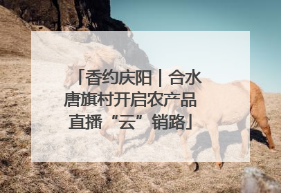 香约庆阳｜合水唐旗村开启农产品直播“云”销路