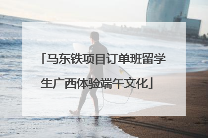 马东铁项目订单班留学生广西体验端午文化