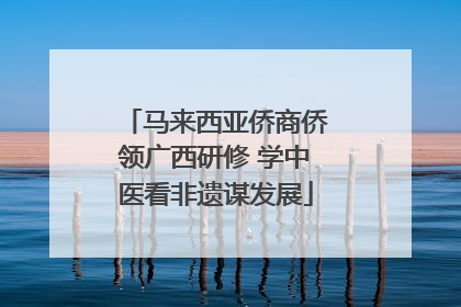 马来西亚侨商侨领广西研修 学中医看非遗谋发展