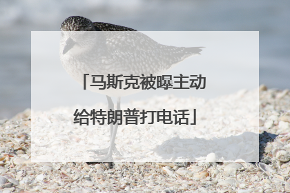 马斯克被曝主动给特朗普打电话