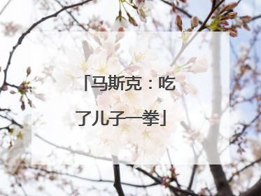 马斯克：吃了儿子一拳
