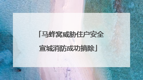 马蜂窝威胁住户安全 宣城消防成功摘除