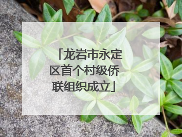 龙岩市永定区首个村级侨联组织成立