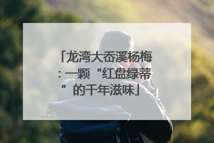 龙湾大岙溪杨梅：一颗“红盘绿蒂”的千年滋味