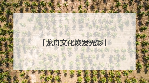 龙舟文化焕发光彩