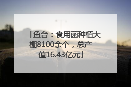 鱼台：食用菌种植大棚8100余个，总产值16.43亿元