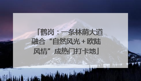 鹤岗：一条林荫大道融合“自然风光＋欧陆风情”成热门打卡地