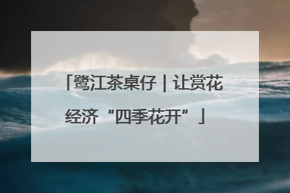 鹭江茶桌仔｜让赏花经济“四季花开”